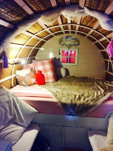 De Oude Nadorst Bed & Breakfast Хронинген Екстериор снимка
